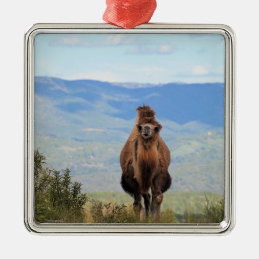 Lopen met Ornament van Muffin-keramiek (Voorkant)