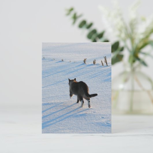 Lopen op het terrein briefkaart (Staand voorkant)