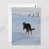 Lopen op het terrein briefkaart (Voorkant / Achterkant)