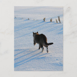 Lopen op het terrein briefkaart