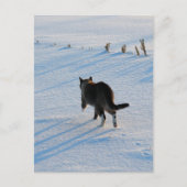 Lopen op het terrein briefkaart (Voorkant)