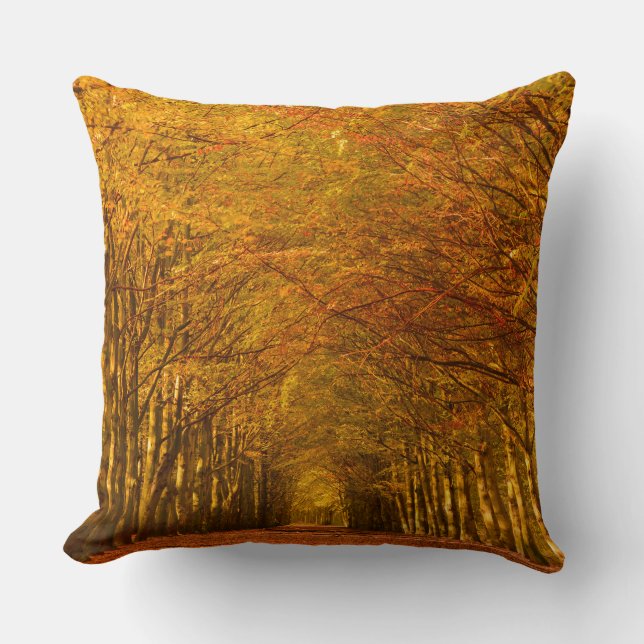 Lopend pad door het bos in de herfstkussen kussen (Voorkant)