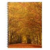 Lopend pad door het bos in het najaar notebook notitieboek (Voorkant)