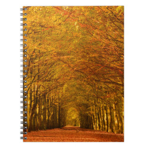 Lopend pad door het bos in het najaar notebook notitieboek
