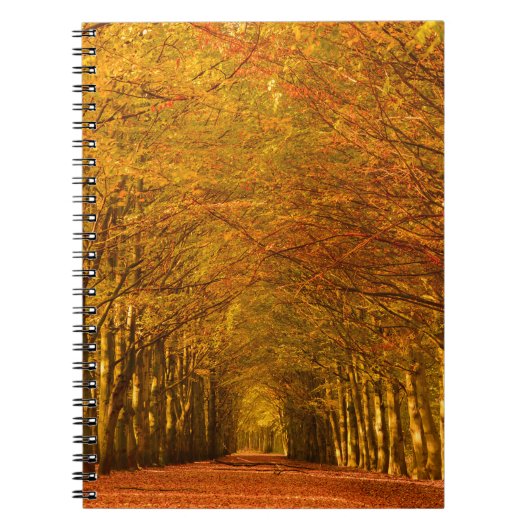 Lopend pad door het bos in het najaar notebook notitieboek (Voorkant)
