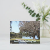 Lopend spoor Fotografie natuur Venice Florida Briefkaart (Staand voorkant)