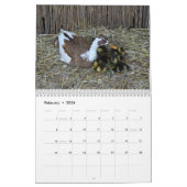Lopende eend kalender (Feb 2026)