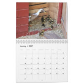 Lopende eend kalender (Jan 2027)