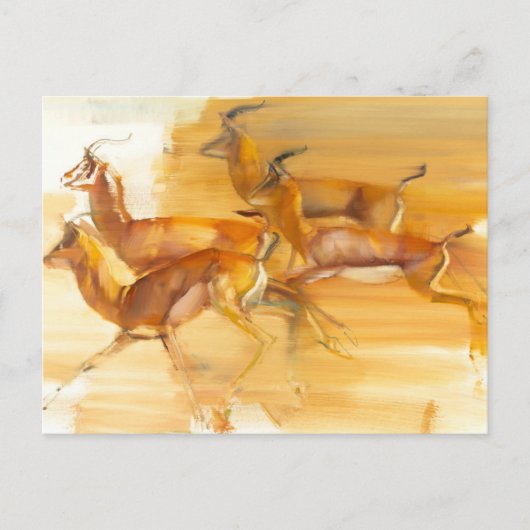 Lopende Gazelles 2010 Briefkaart (Voorkant)