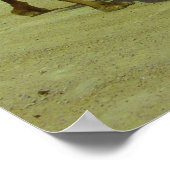 Lopende lange weg - kamelen op het eiland Failaka Poster (Hoek)