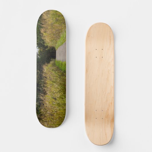 Lopende loopbaan persoonlijk skateboard (Voorkant)
