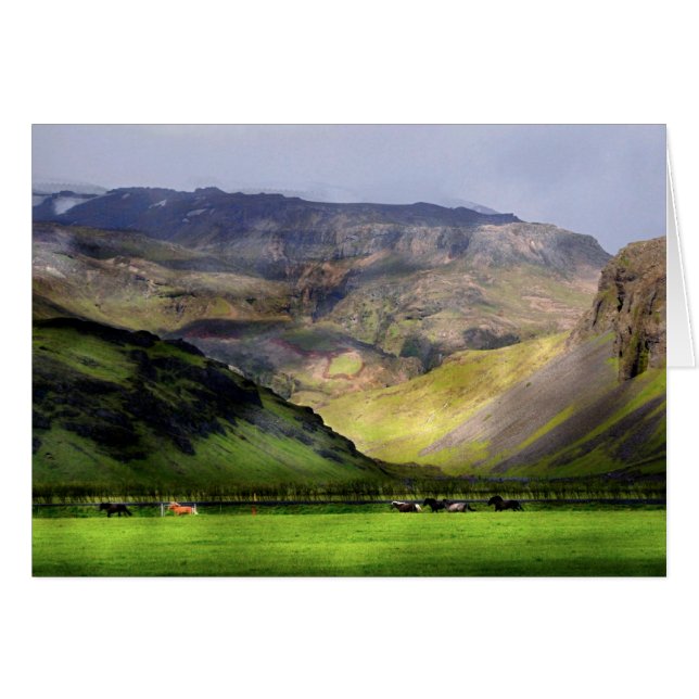 Lopende paarden IJsland (Voorkant Horizontaal)