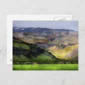 Lopende paarden IJsland Briefkaart (Voorkant / Achterkant)