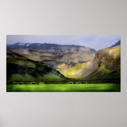 Lopende paarden IJsland Poster (Voorkant)