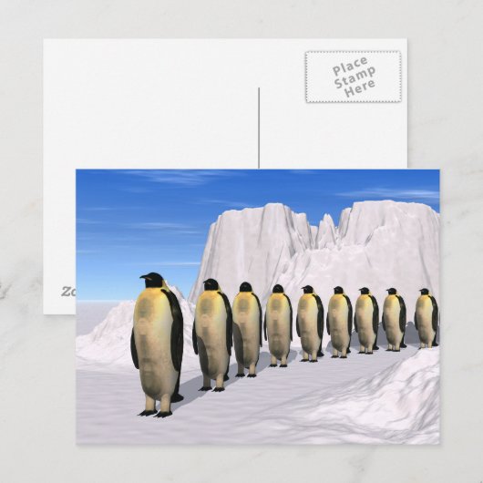 Lopende pinguïns briefkaart (Voorkant / Achterkant)