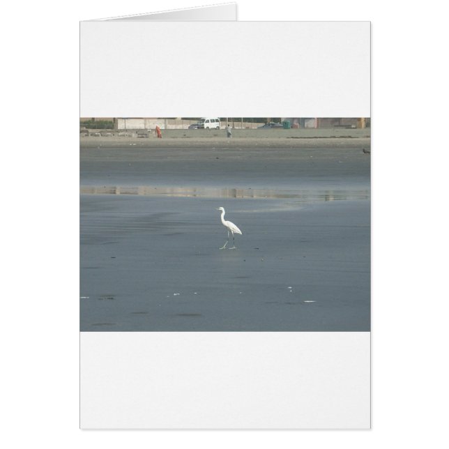 Lopende solo.JPG (Voorkant)