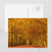 Lopende weg door het bos in het najaar briefkaart (Voorkant / Achterkant)