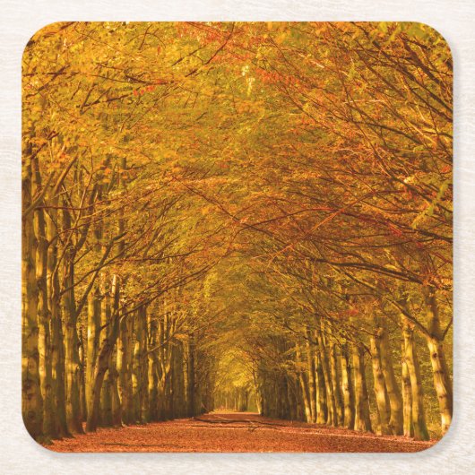 Lopende weg door het bos in het najaar onderzetter (Voorkant)