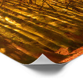 Lopende weg door het bos in het najaar poster (Hoek)