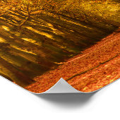 Lopende weg door het bos in het najaar poster (Hoek)