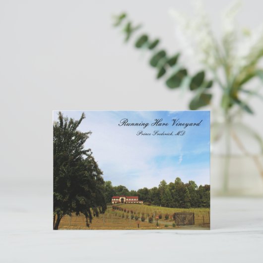 Lopende wijngaard briefkaart (Staand voorkant)