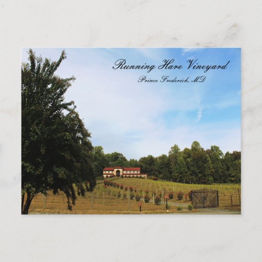 Lopende wijngaard briefkaart (Voorkant)