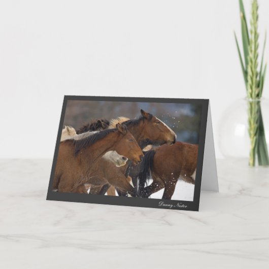 Lopende Wildernis Kaart (Voorkant)