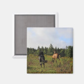 Lopende Wildernis Magneet (Voorkant / Achterkant)