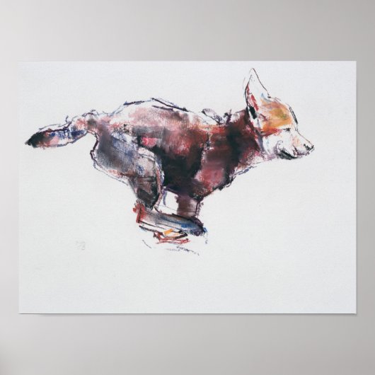 Lopende wolvenpup poster (Voorkant)