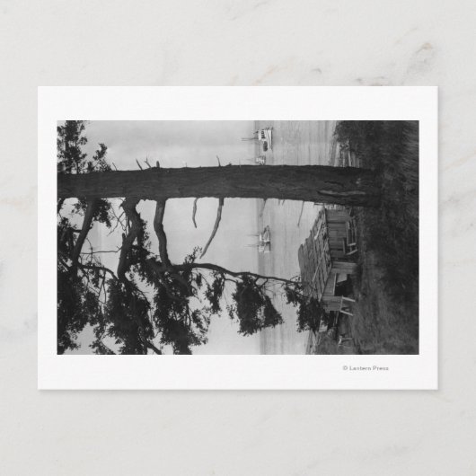 Lopez Island, WA - Geviste boten in Bay Briefkaart (Voorkant)