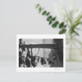 Lopez Island, WA - Geviste boten in Bay Briefkaart (Staand voorkant)