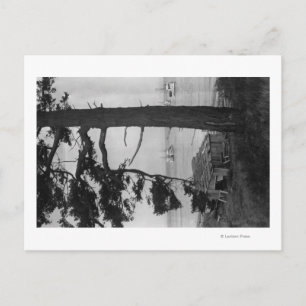 Lopez Island, WA - Geviste boten in Bay Briefkaart