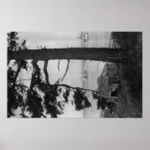 Lopez Island, WA - Geviste boten in Bay Poster (Voorkant)