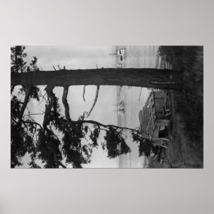 Lopez Island, WA - Geviste boten in Bay Poster