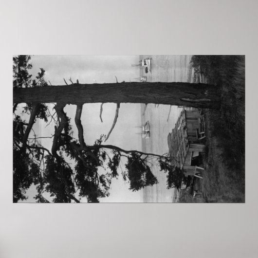 Lopez Island, WA - Geviste boten in Bay Poster (Voorkant)