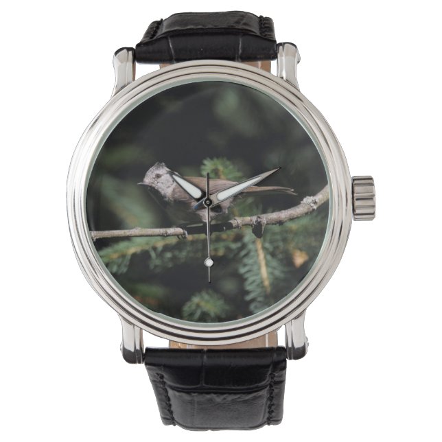 Lophophanes cristatus horloge (Voorkant)