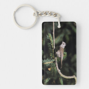 Lophophanes cristatus sleutelhanger