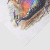 Lophophorus L'Huysi, Natuur Wildlife Decoupage Tissuepapier (Detail)