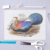 Lophophorus L'Huysi, Natuur Wildlife Decoupage Tissuepapier (Craft)