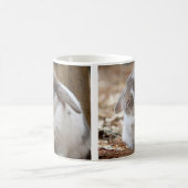 Lopoorkonijn Koffiemok (Center)