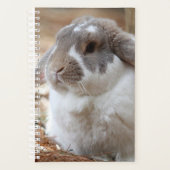 Lopoorkonijn Planner (Voorkant)