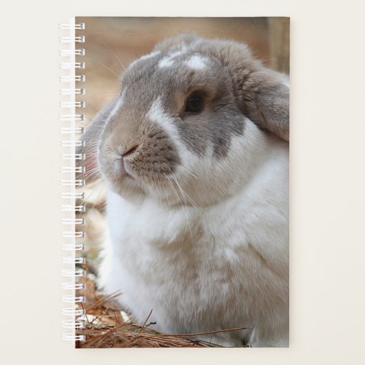 Lopoorkonijn Planner (Voorkant)