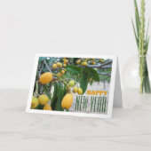 Loquat boom Portret Kaart (Voorkant)