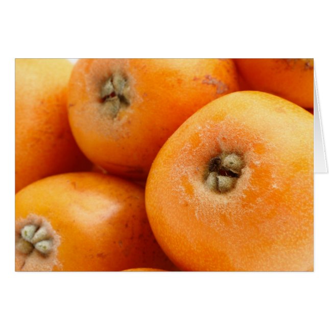 Loquats (Voorkant Horizontaal)