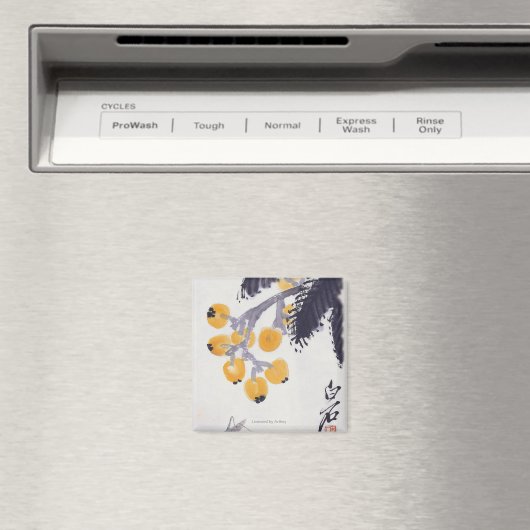 Loquats en een Grasshopper Magneet (Insitu (Vaatwasser))