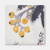 Loquats en een Grasshopper Magneet (Voorkant)