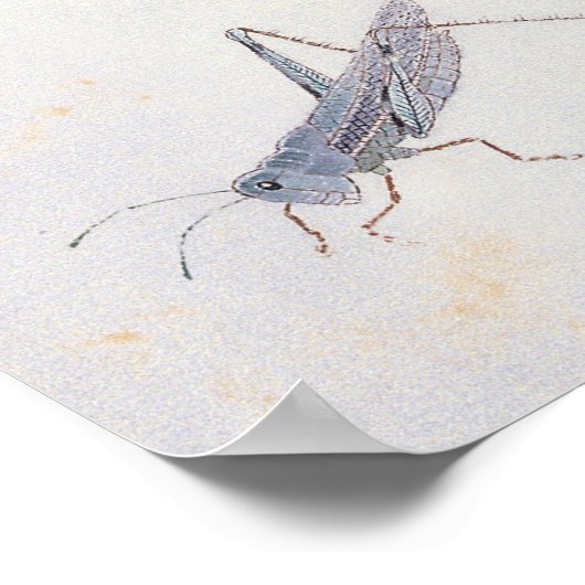 Loquats en een Poster van Grasshout (Hoek)