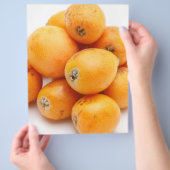 Loquats Flyer (Hand)