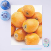 Loquats Flyer (Enkel)