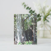 Lord Howe Island Fig Briefkaart (Staand voorkant)